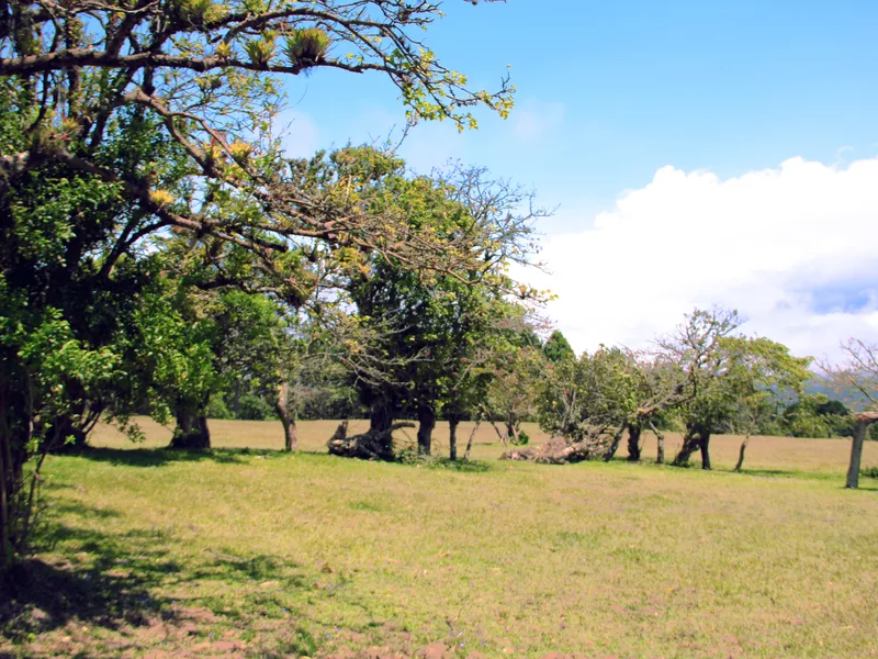 Land For Sale in San Isidro, photo 11