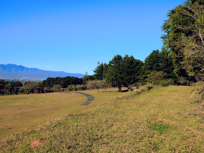 Land For Sale in San Isidro, photo 4