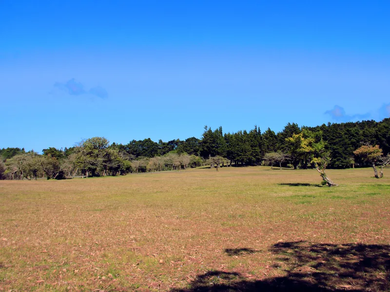 Land For Sale in San Isidro, photo 10