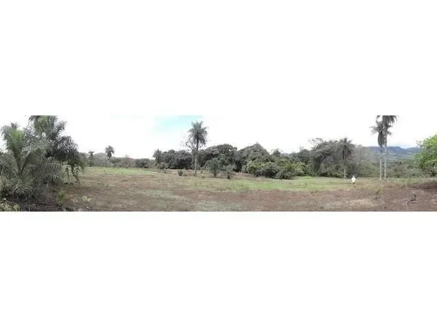 Land for Sale in Turrubares, San Jose for $100,000, photo 3