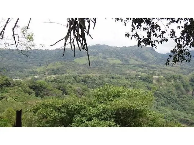 Land for Sale in Turrubares, San Jose for $100,000, photo 4