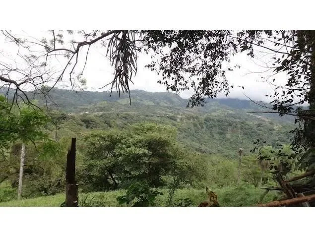 Land for Sale in Turrubares, San Jose for $100,000, photo 5