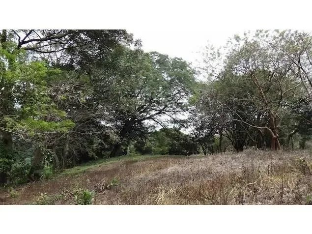 Land for Sale in Turrubares, San Jose for $100,000, photo 6