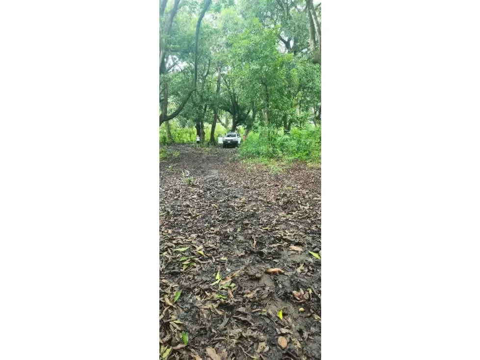 DESCRIPCION DETALLADA: extraordinario lote con topografía completamente plana, ubicado en una de ...