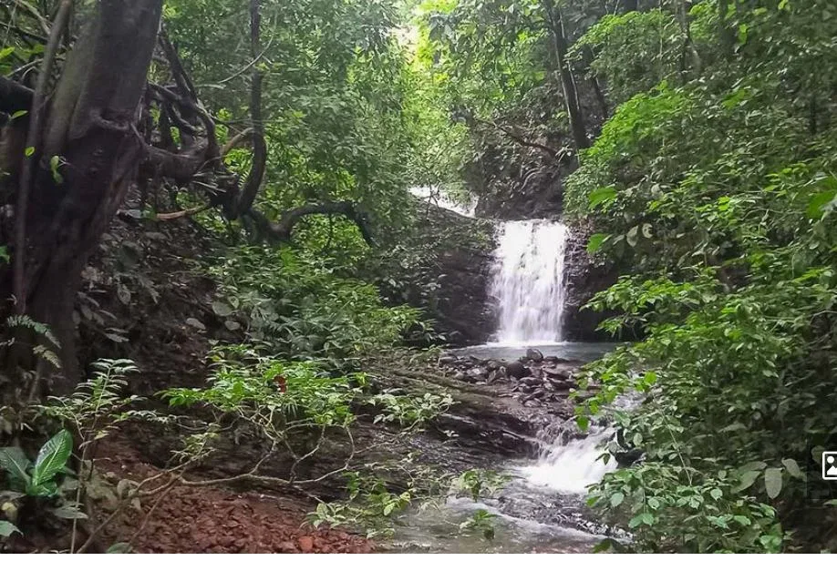 RIVER FRONT, WATERFALLS AND LAGOONS  WITH PRIMARY FOREST  AND OCEAN VIEW WINDOW -598 ACRES RANCH