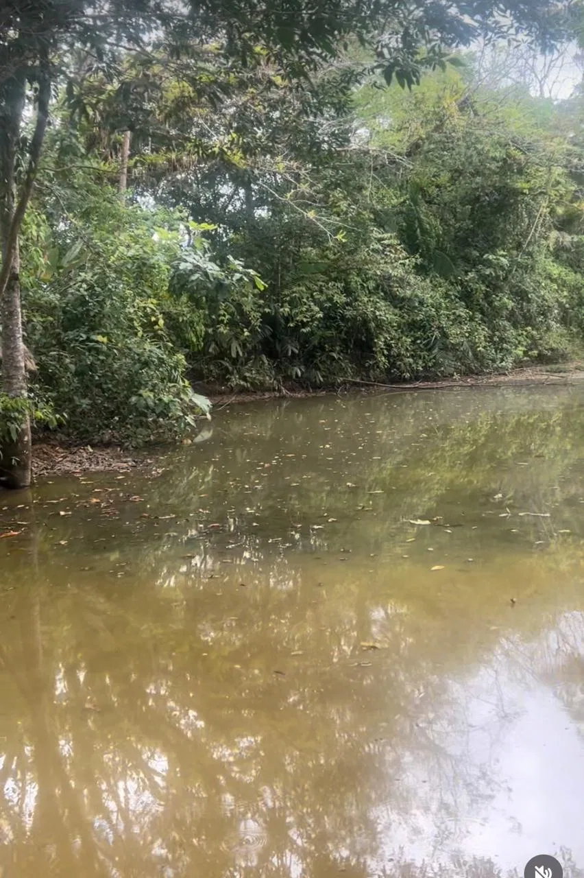 RIVER FRONT, WATERFALLS AND LAGOONS  WITH PRIMARY FOREST  AND OCEAN VIEW WINDOW -598 ACRES RANCH, photo 6