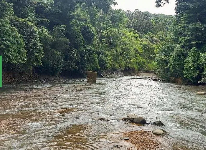 RIVER FRONT, WATERFALLS AND LAGOONS  WITH PRIMARY FOREST  AND OCEAN VIEW WINDOW -598 ACRES RANCH, photo 10