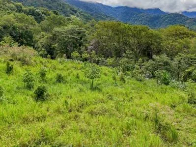 Lote con vista al mar, selva tropical y montaña en la jungla, photo 5