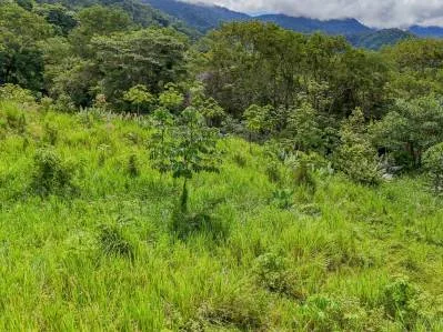 Lote con vista al mar, selva tropical y montaña en la jungla, photo 6