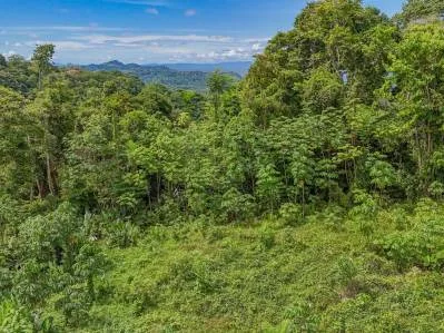 Lote con vista al mar, selva tropical y montaña en la jungla, photo 7