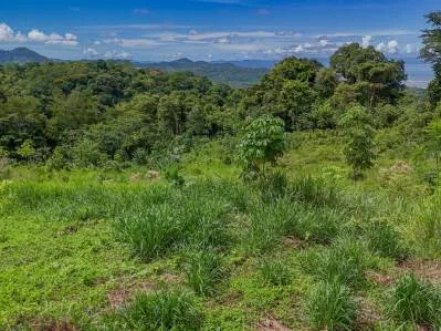 Lote con vista al mar, selva tropical y montaña en la jungla, photo 8
