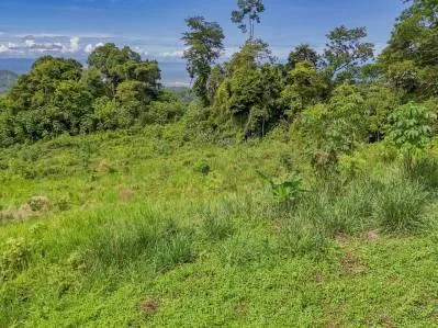 Lote con vista al mar, selva tropical y montaña en la jungla, photo 9