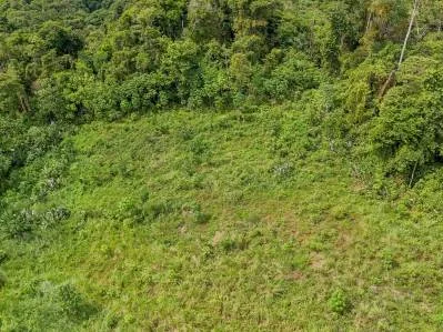 Lote con vista al mar, selva tropical y montaña en la jungla, photo 10