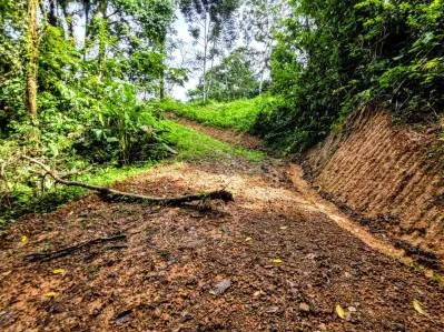 Finca Cascada, Dos Bocas, Dominical. Con cascadas gemelas, manantiales, arroyos y ríos., photo 4