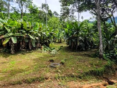 Finca Cascada, Dos Bocas, Dominical. Con cascadas gemelas, manantiales, arroyos y ríos., photo 6