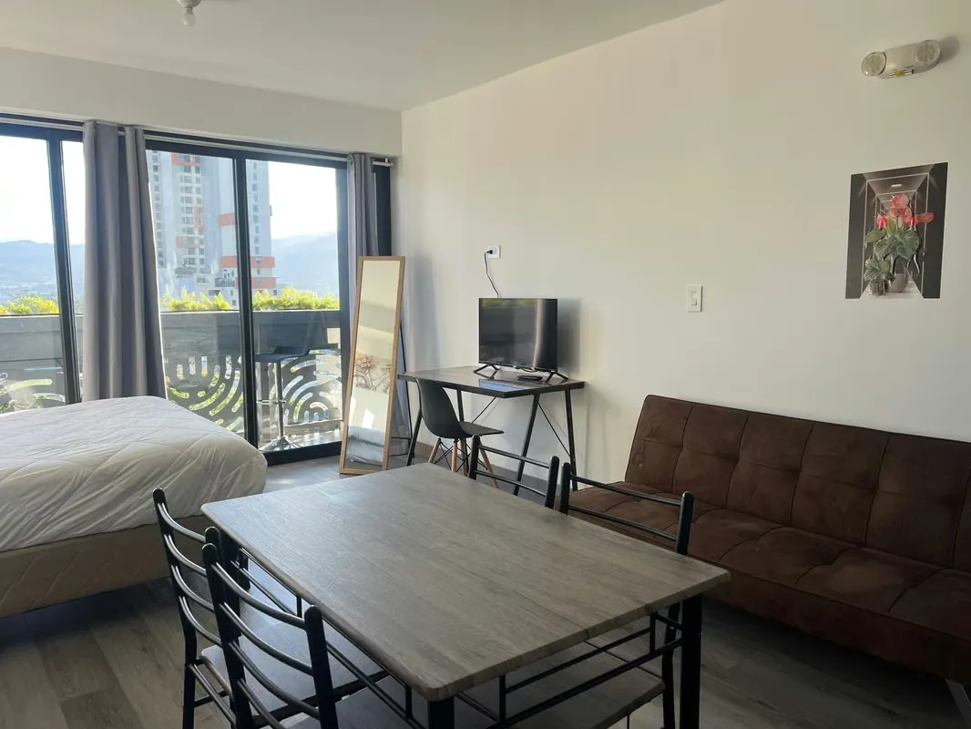 Penthouse for rent Barrio Escalante , San José, photo 4