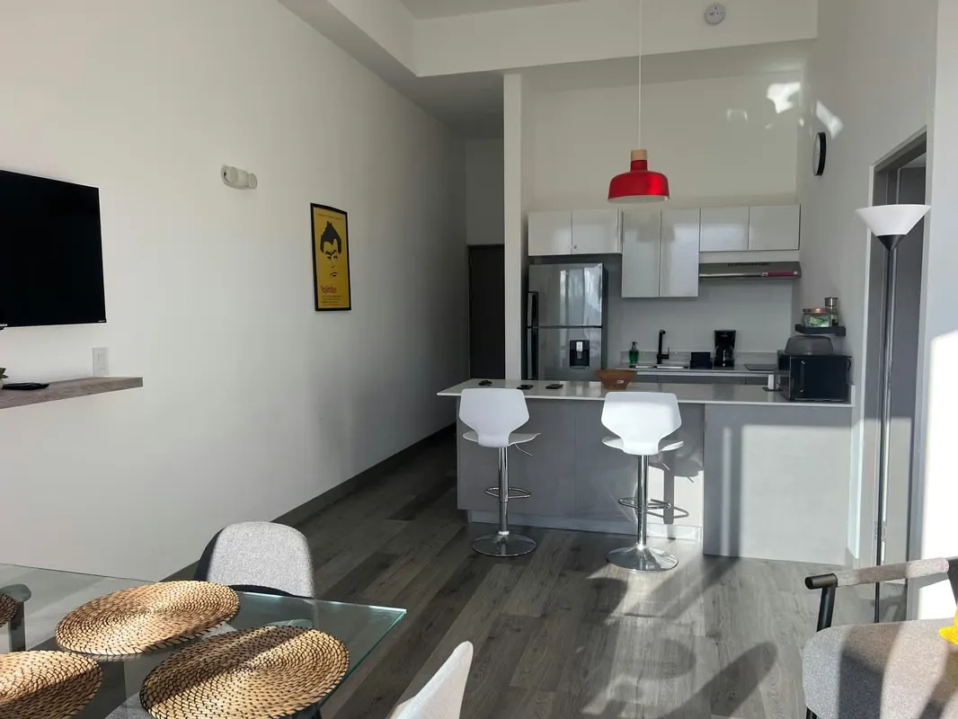 Penthouse for rent Barrio Escalante , San José, photo 5