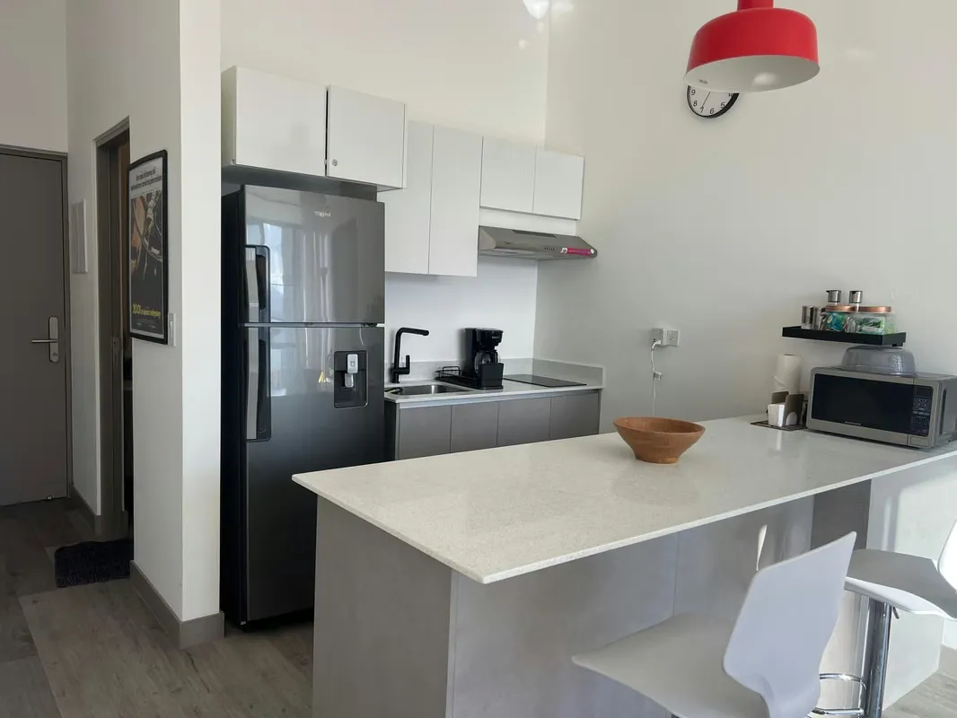 Penthouse for rent Barrio Escalante , San José, photo 6