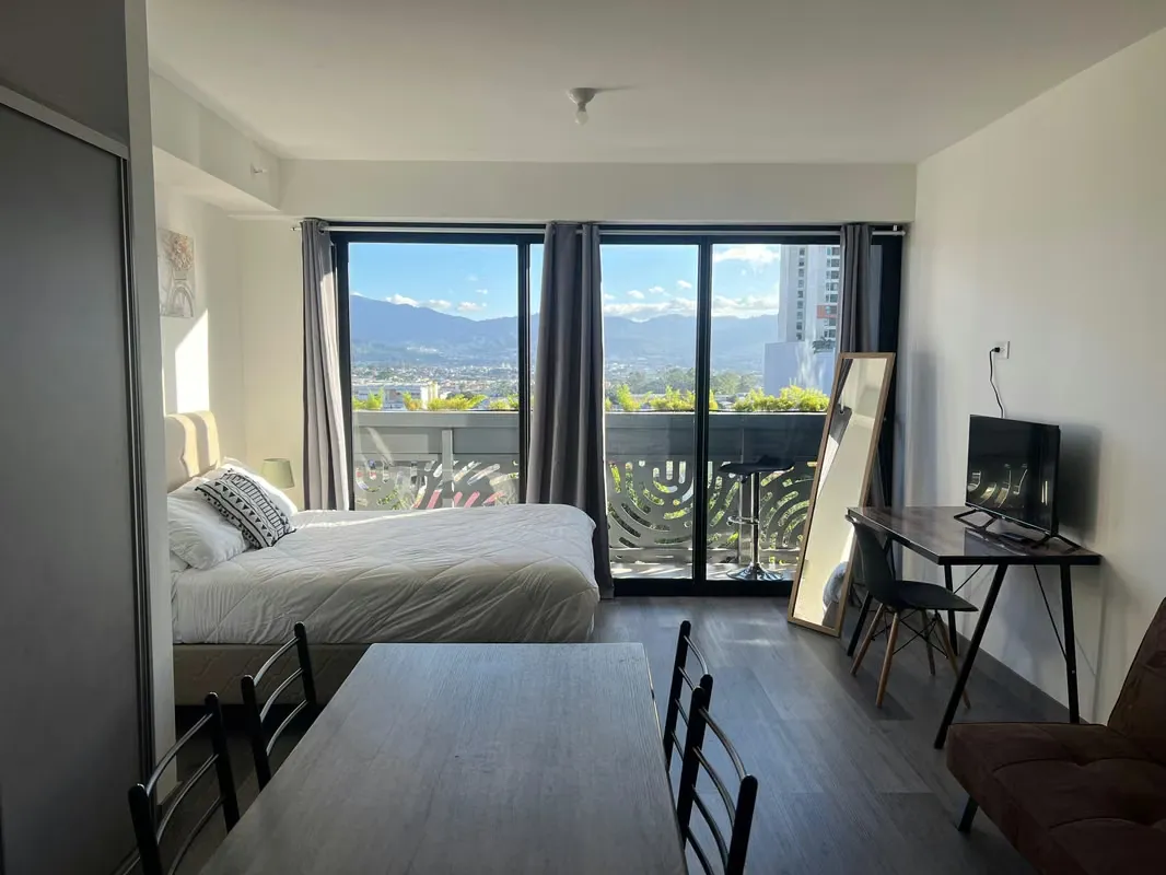 Penthouse for rent Barrio Escalante , San José, photo 9