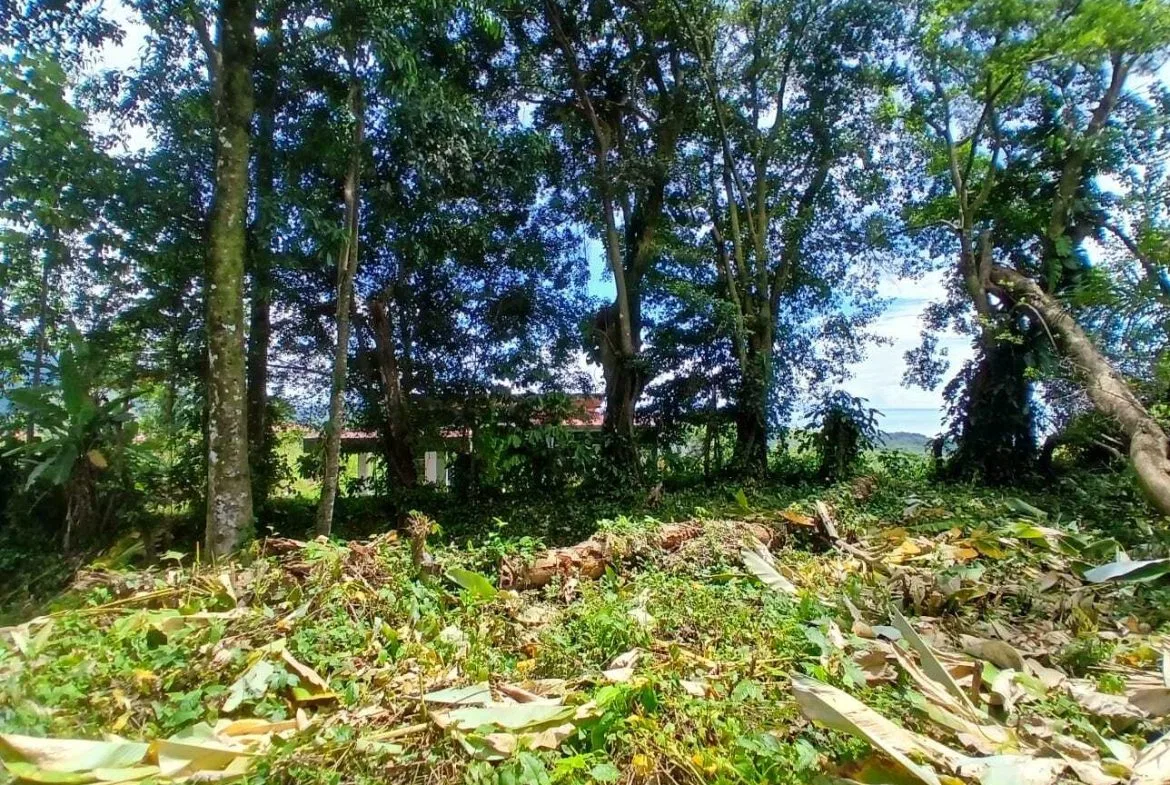 BUILDING PROPERTY WITH MOUNTAINS VIEWS, IN TORTUGA ARRIBA – 1.14 ACRES, photo 14