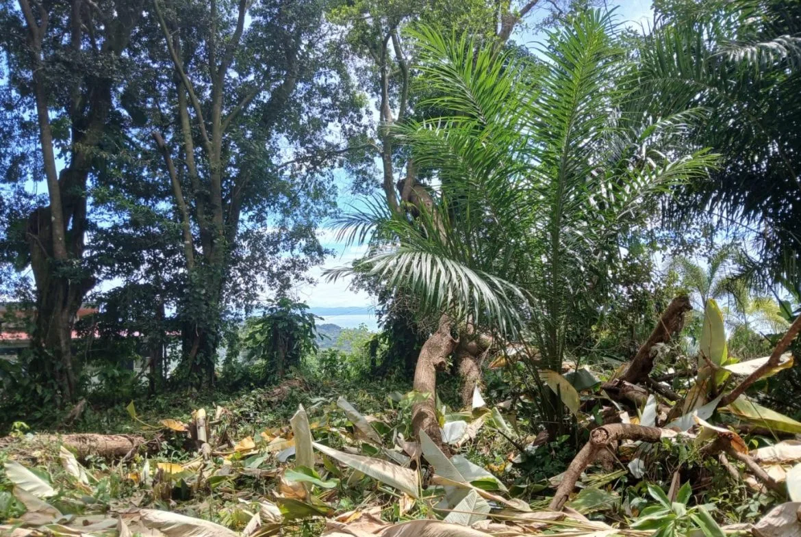 BUILDING PROPERTY WITH MOUNTAINS VIEWS, IN TORTUGA ARRIBA – 1.14 ACRES, photo 18