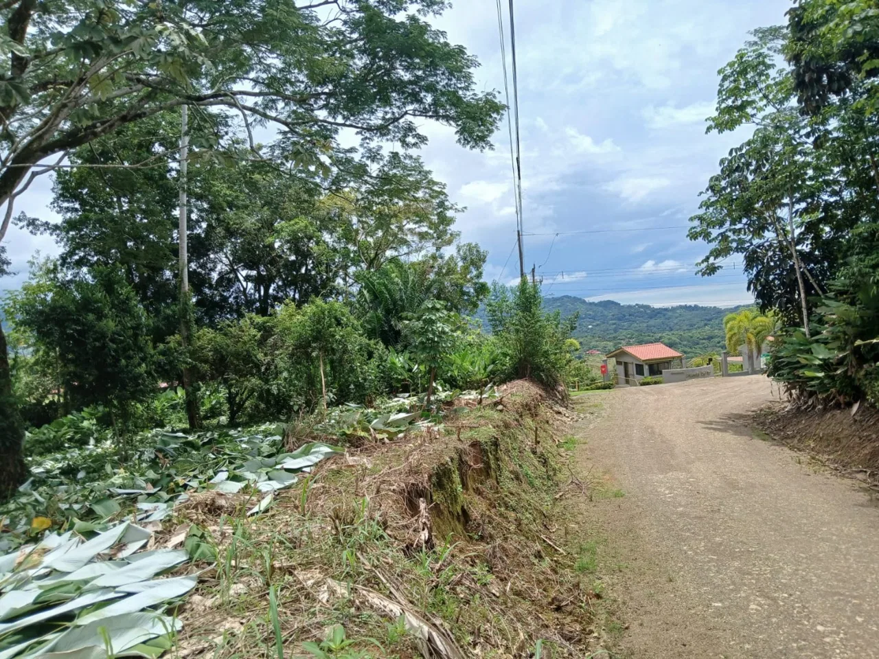 BUILDING PROPERTY WITH MOUNTAINS VIEWS, IN TORTUGA ARRIBA – 1.14 ACRES, photo 3