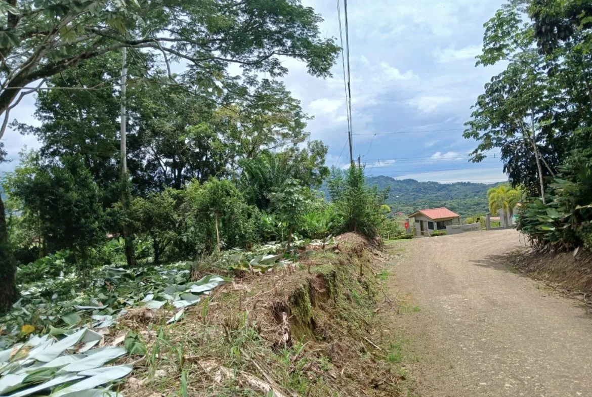 BUILDING PROPERTY WITH MOUNTAINS VIEWS, IN TORTUGA ARRIBA – 1.14 ACRES, photo 4