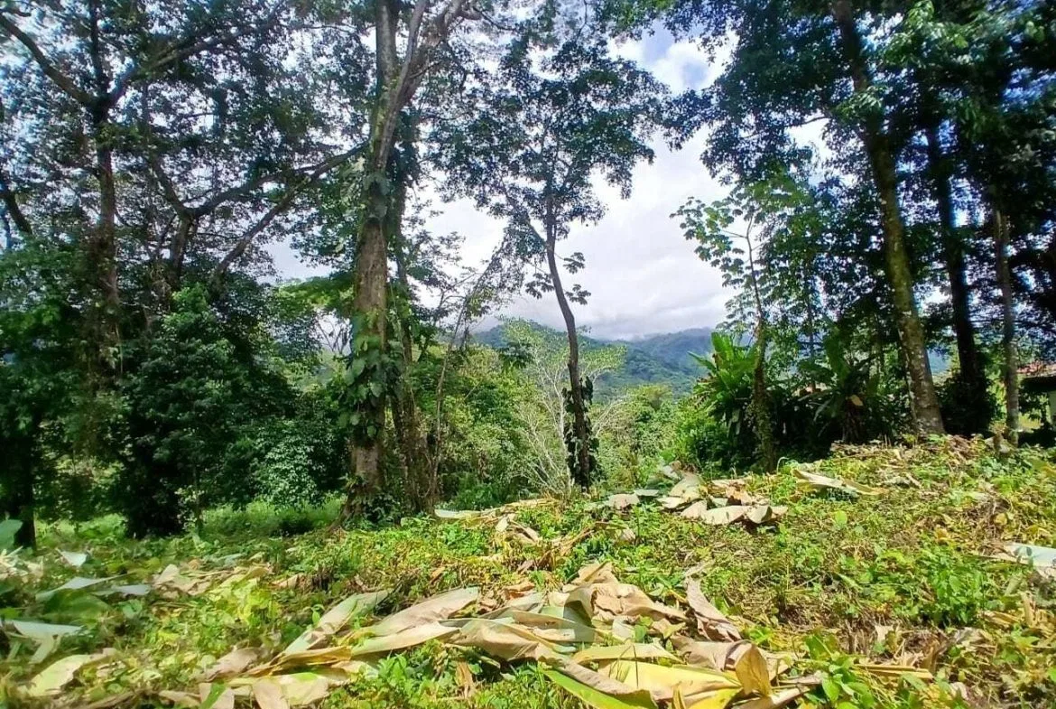 BUILDING PROPERTY WITH MOUNTAINS VIEWS, IN TORTUGA ARRIBA – 1.14 ACRES, photo 6