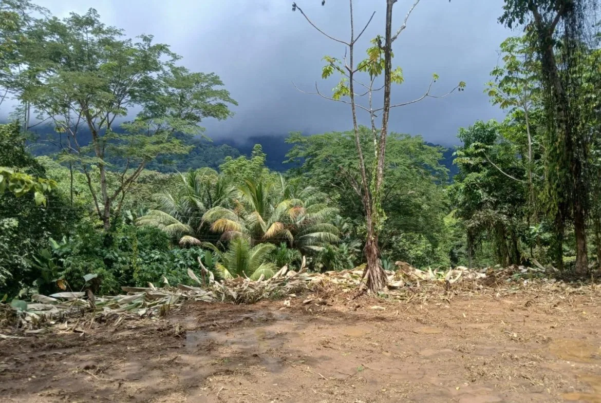 BUILDING PROPERTY WITH MOUNTAINS VIEWS, IN TORTUGA ARRIBA – 1.14 ACRES, photo 10