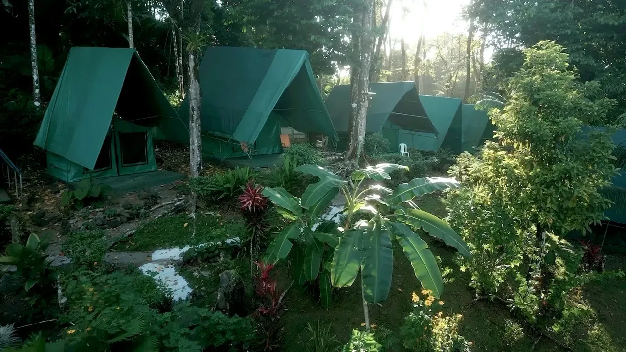 Secluded Beachfront Tent Resort, Drake Bay, Osa Peninsula, Osa, Golfito, Osa, Puntarenas, Costa Rica 60503, Osa