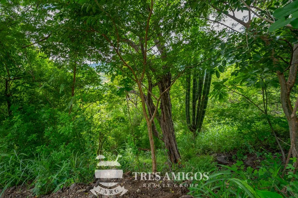 Coco Bay Estates lot 83, photo 12