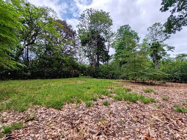ID 1044: Build Ready Land Between Cahuita National Park and Puerto Viejo, photo 6