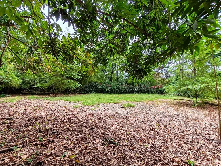 ID 1044: Build Ready Land Between Cahuita National Park and Puerto Viejo, photo 7