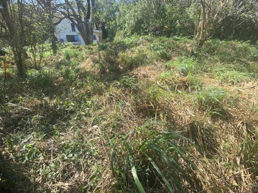 LOTE EN VENTA, PIEDADES  SANTA ANA, Cod#25-602 - Venta en Piedades, photo 3