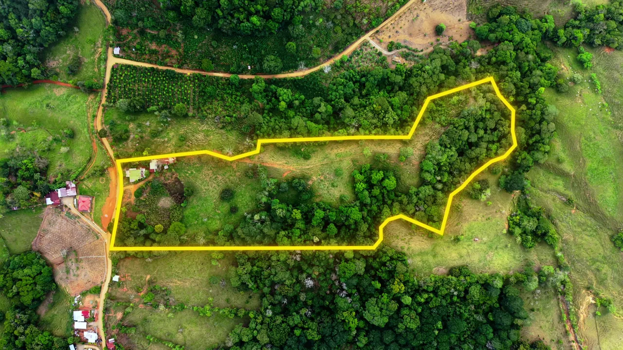 VENTA DE FINCA DE 4.9 HA EN ALTO ESPERANZAS, PEREZ ZELEDON: PRIVACIDAD Y ARBOLES FRUTALES