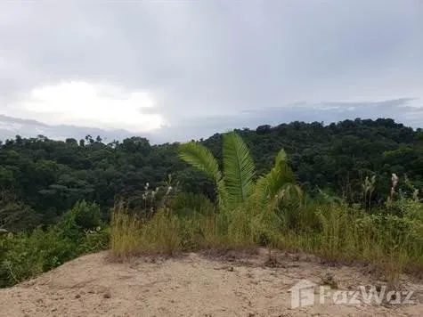 Land for Sale at Quepos for $185,000
