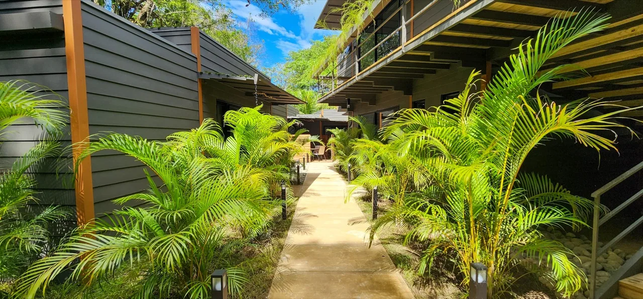 BRAND-NEW SMALL BOUTIQUE HOTEL FOR SALE IN THE HEART OF OJOCHAL, COSTA RICA – 0.6 ACRES, photo 11