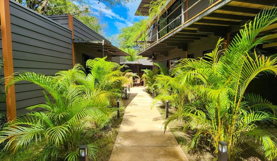 BRAND-NEW SMALL BOUTIQUE HOTEL FOR SALE IN THE HEART OF OJOCHAL, COSTA RICA – 0.6 ACRES, photo 12