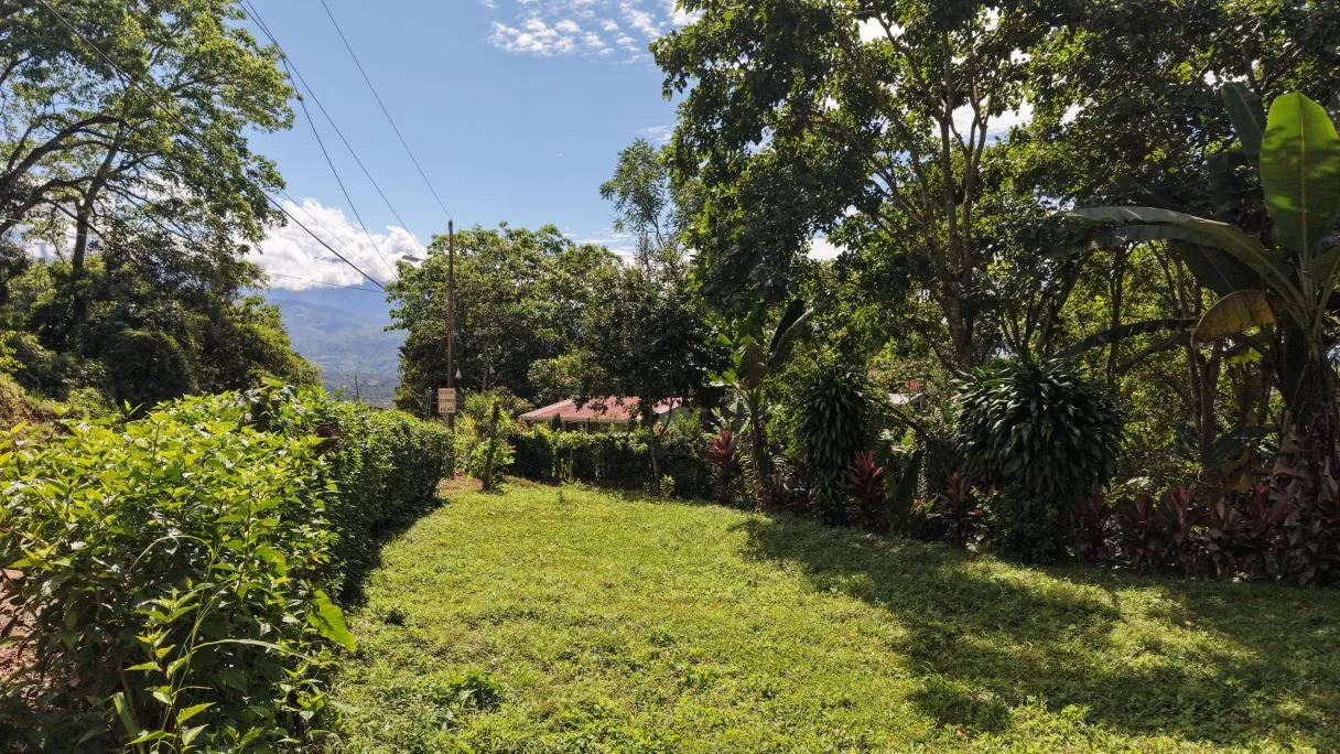 500 m² Lot in San Rafael Norte, Pérez Zeledón — 10 Minutes from Downtown, photo 11