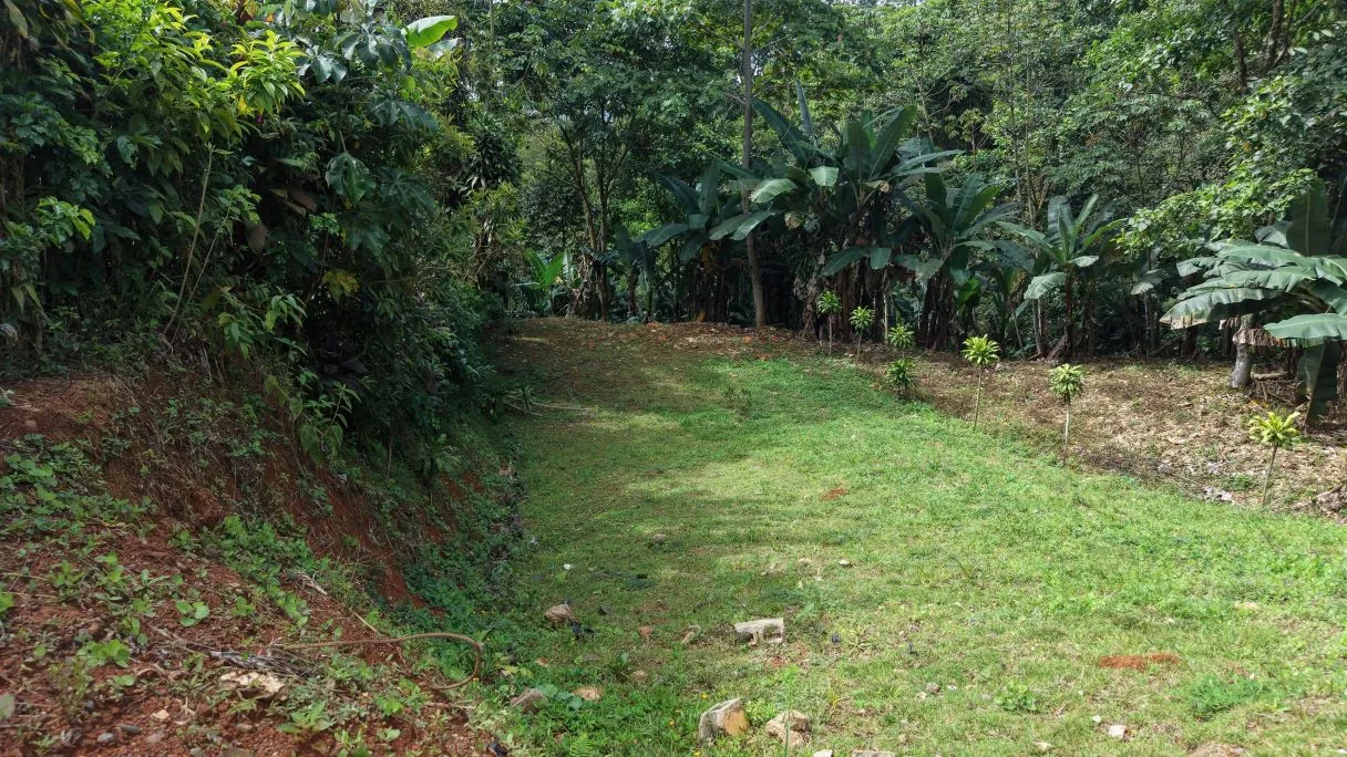 500 m² Lot in San Rafael Norte, Pérez Zeledón — 10 Minutes from Downtown, photo 3