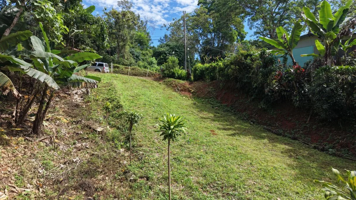 500 m² Lot in San Rafael Norte, Pérez Zeledón — 10 Minutes from Downtown, photo 4