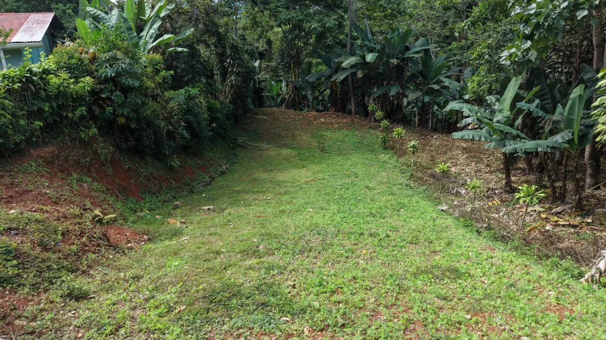 500 m² Lot in San Rafael Norte, Pérez Zeledón — 10 Minutes from Downtown, photo 6