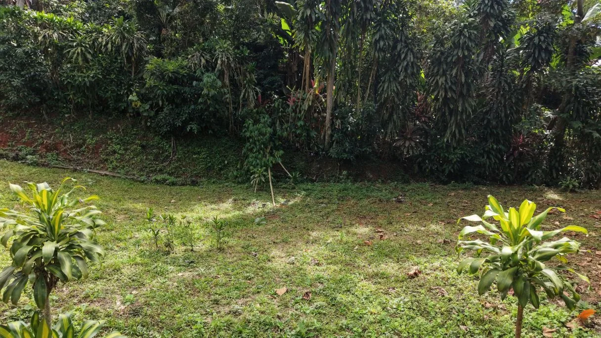 500 m² Lot in San Rafael Norte, Pérez Zeledón — 10 Minutes from Downtown, photo 7