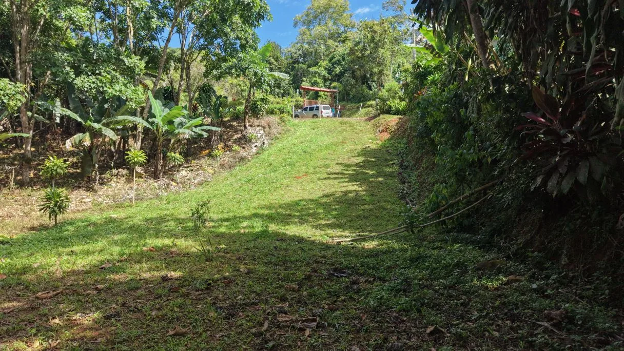 500 m² Lot in San Rafael Norte, Pérez Zeledón — 10 Minutes from Downtown, photo 8