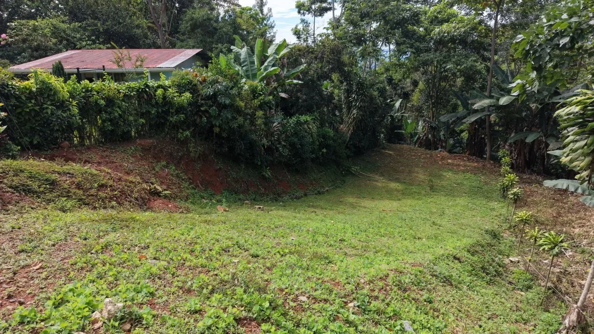 500 m² Lot in San Rafael Norte, Pérez Zeledón — 10 Minutes from Downtown, photo 9