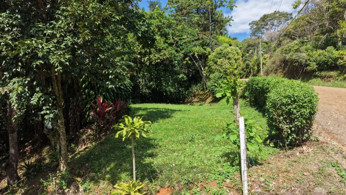 500 m² Lot in San Rafael Norte, Pérez Zeledón — 10 Minutes from Downtown, photo 10
