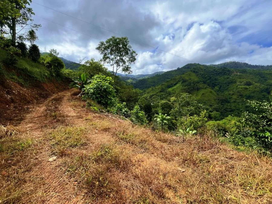 TERRENO EN VENTA EN COSTA RICA -1.4 HA EN CHIMIROL DE RIVAS - Venta en Perez Zeledón, photo 6