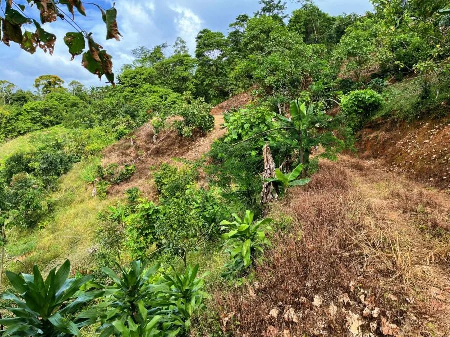 TERRENO EN VENTA EN COSTA RICA -1.4 HA EN CHIMIROL DE RIVAS - Venta en Perez Zeledón, photo 8