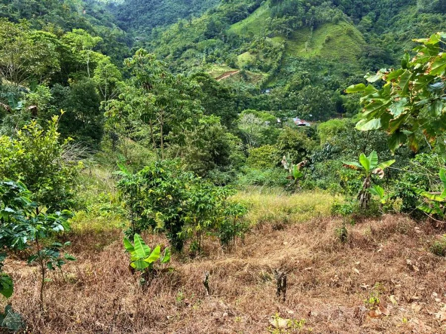 TERRENO EN VENTA EN COSTA RICA -1.4 HA EN CHIMIROL DE RIVAS - Venta en Perez Zeledón, photo 9