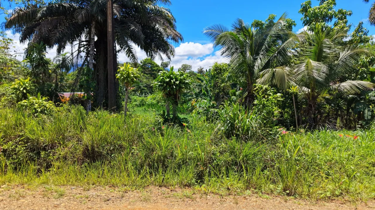 Great Residential Property Lot for sale with high Aggregated Potential in Cajon., photo 6